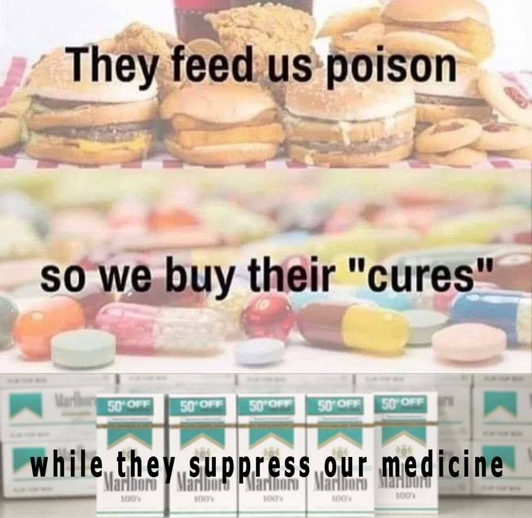 ዝዘርአ ር፡ ቪ[በሸ141 once nora Me